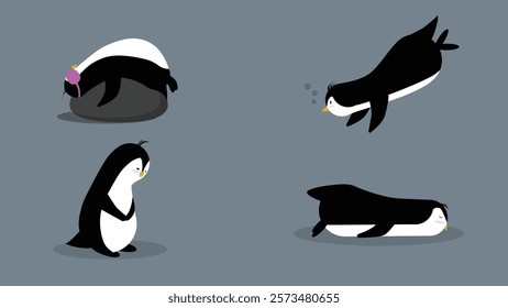 Penguin character in different poses. Vector illustration of a cute penguins. Isolated on grey background