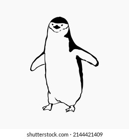 Pinguin, Chinstrap-Pinguin, handgezeichnet, Vektorgrafik