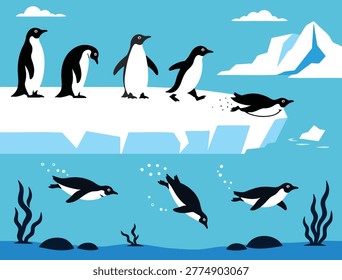 Penguin Colony Life Flat Vector Illustration, Antarctic Wildlife Waddling Diving and Swimming Scene