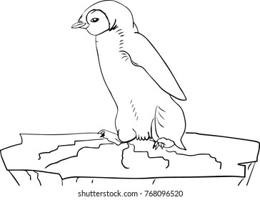 penguin coloring page 