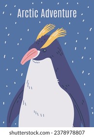 Pingüino con cresta. Rockhopper, pingüino real, aves marinas sin vuelo de la Antártida. Afiche de aventuras árticas con nieve. Ilustración del vector animal del tubo natural de dibujos animados. Mamífero de fauna silvestre del norte