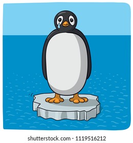 penguin crying for climate change