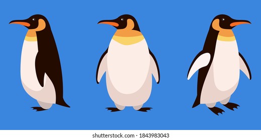 Penguin in different angles. Arctic animal in cartoon style.