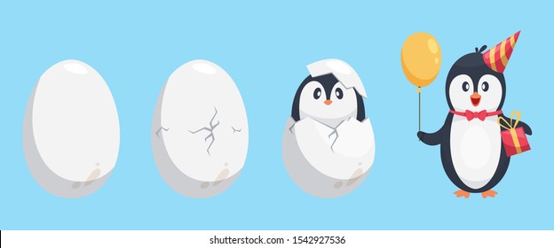 Penguin egg. Birth stages of penguin. Cute cartoon animal newborn vector illustration