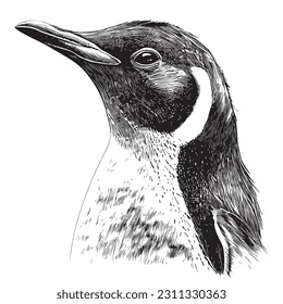 Penguin face, hand drawn sketch in doodle style illustration