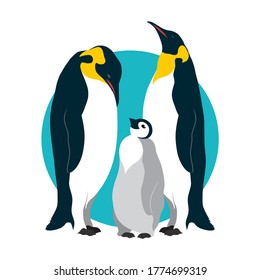 Penguin Family Vector Graphic Illustration Stock Vector (Royalty Free ...