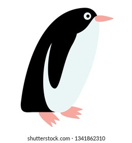 penguin flat illustration Wild life plants and animals series