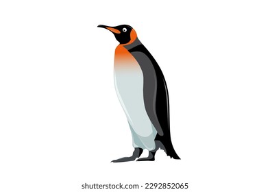 ilustración del vector plano pingüino, aislado en fondo blanco