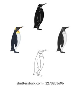 Penguin, flightless sea bird. The Imperial Penguin single icon in cartoon style vector symbol stock illustration web.