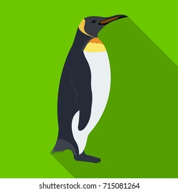 Penguin, flightless sea bird. The Imperial Penguin single icon in flat style vector symbol stock illustration web.