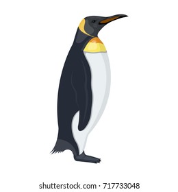 Penguin, flightless sea bird. The Imperial Penguin single icon in cartoon style vector symbol stock illustration web.