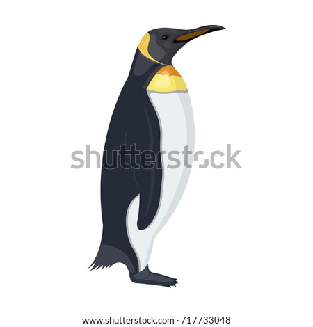 Penguin, flightless sea bird. The Imperial Penguin single icon in cartoon style vector symbol stock illustration web.