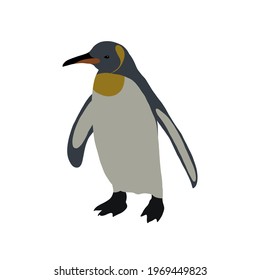 Penguin. Flightless seabird. Vector illustration.