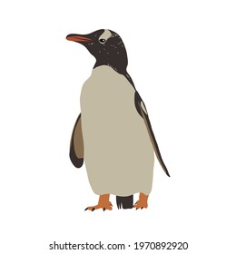 Penguin. Flightless seabird. Vector illustration.