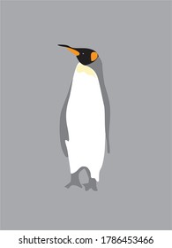  penguin found in arctic  area vector illustration 