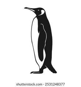 Penguin. Hand drawn vector illustration on white background