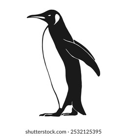 Penguin. Hand drawn vector illustration on white background