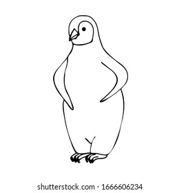 Penguin, hand-drawn style. Line art. Vector illustration
