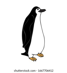 Penguin, hand-drawn style. Line art. Colorful vector illustration.