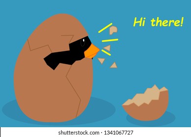 penguin hatched from the egg. penguin,baby penguin was born.slogan hi there, vector illustration for t-shirt print,wallpaper,poster and other uses. Can be used for design of cards