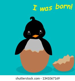 penguin hatched from the egg. penguin,slogan i was born.vector illustration for t-shirt print,wallpaper,poster and other uses. Can be used for design of cards