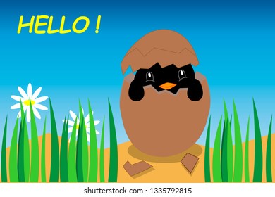 penguin hatched from the egg. penguin, slogan hello.vector illustration for t-shirt print,wallpaper,poster and other uses. Can be used for design of cards