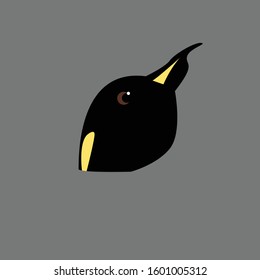 penguin head vector illustration. penguin head logo icon.