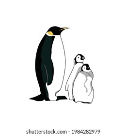 penguin and his child vector illustration design