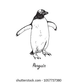 Pingüino con alas anchas y caminar, doodle dibujado a mano, boceto en estilo de arte pop, ilustración de contorno vectorial con inscripción