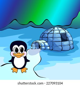 Penguin, ice yurt igloo and northern lights. Vector illustration
