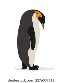 Penguin icon. Big Emperor or King penguin isolated on white background. Flat or cartoon nature animal vector illustration.