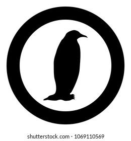 Penguin icon black color in circle