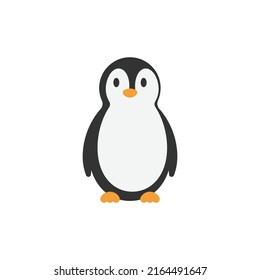 penguin icon design template vector illustration