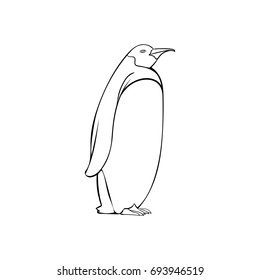 penguin icon doodle 