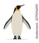 Penguin icon isolated on white background. Big Emperor or King penguin, bird of Antarctica. Flat or cartoon nature animal vector illustration.