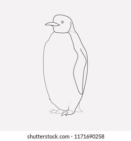 Penguin icon line element. Vector illustration of penguin icon line isolated on clean background for your web mobile app logo design.