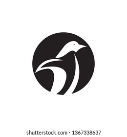 Penguin icon logo design template