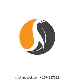 penguin icon vector illustration design template web