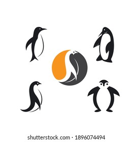 penguin icon vector illustration design template web