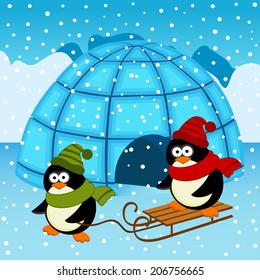 penguin igloo - vector  illustration, eps 