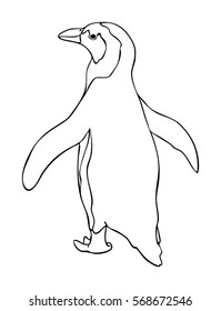 Penguin Illustration