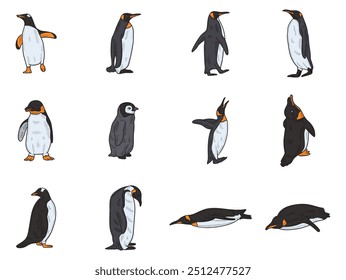 Penguin Illustration Set - Colored