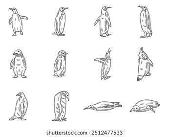 Penguin Illustration Set - Colorless