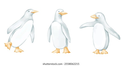 penguin illustration in watercolor style suitable for winter