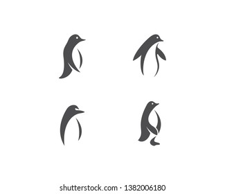 Penguin ilustration logo vector template