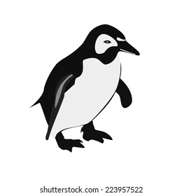 Penguin, penguin isolated,   emperor penguin, penguin vector