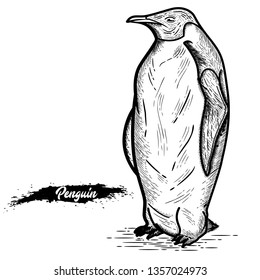 Penguin isolated on white background. Watercolor hand drawn illustration. One penguin