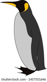 Pinguinkönig, Illustration, Vektorgrafik auf weißem Hintergrund.