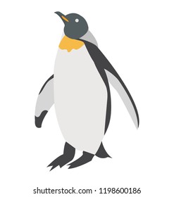 
Penguin, a large flightless seabird with black upper part 
