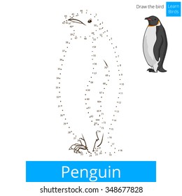 Penguin learn birds educational game learn to draw vector illustration